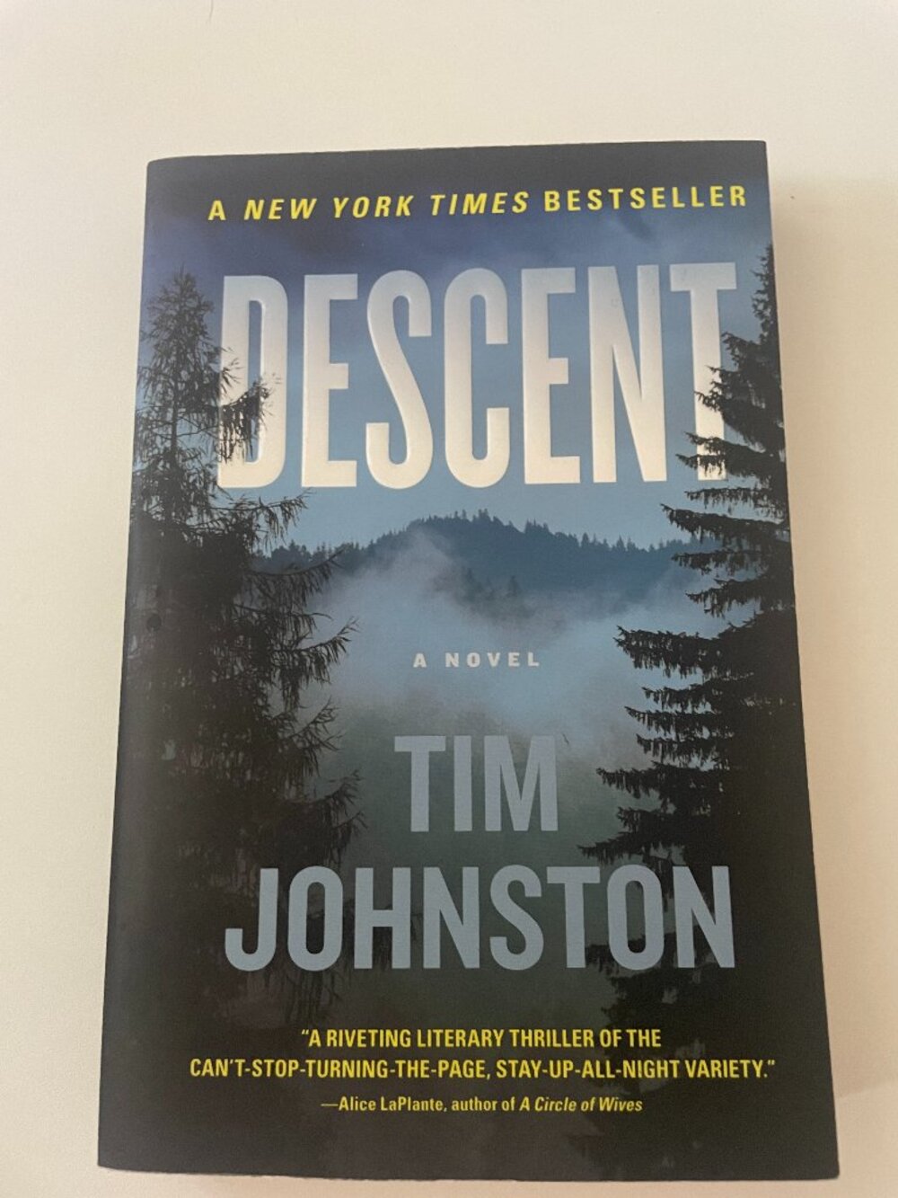 Descent : A Novel by Tim Johnston (2015, Trade Paperback)